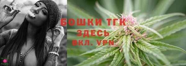 стафф Касимов