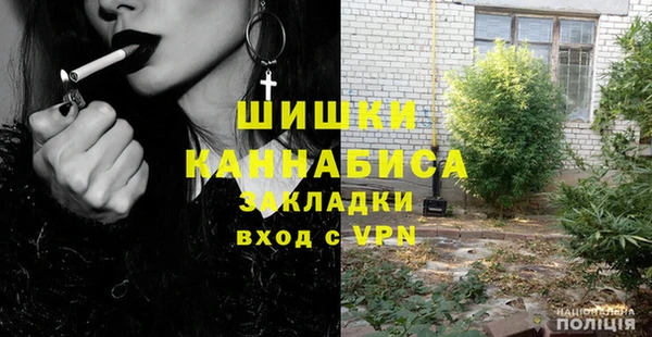 стафф Касимов