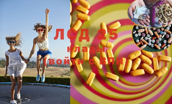 ГАЛЛЮЦИНОГЕННЫЕ ГРИБЫ Карпинск
