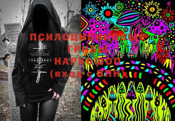 дживик Карталы