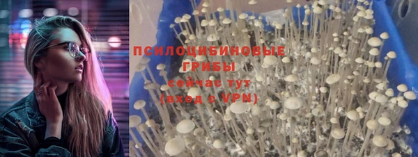 стафф Касимов