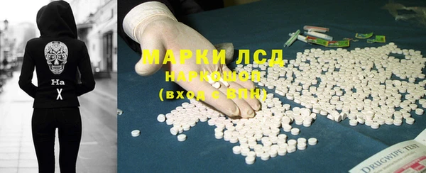 стафф Касимов