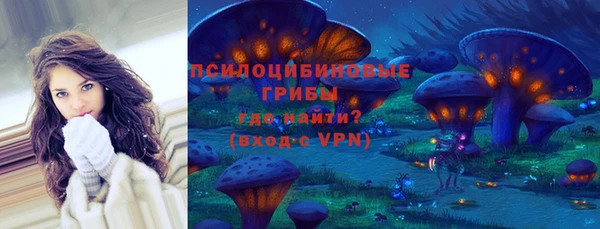 ГАЛЛЮЦИНОГЕННЫЕ ГРИБЫ Карпинск