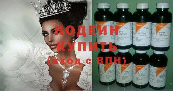 стафф Касимов