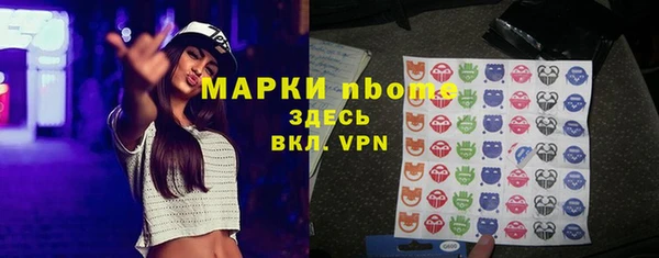 стафф Касимов