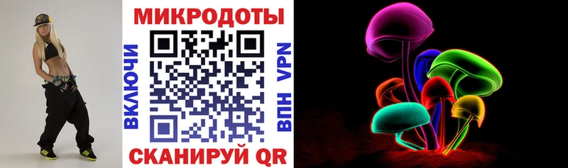 Купить где Дно Галлюциногенные грибы Psilocybe