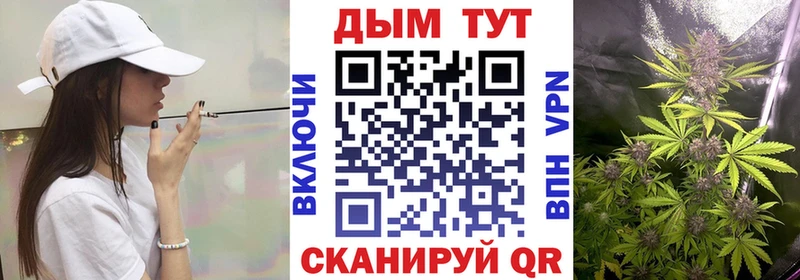 Купить  Дно  Бошки Шишки Bruce Banner 